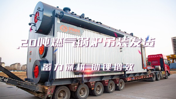 助“锂”增效，，，，人生就是博2*20t/h燃气中压锅炉吊装发货